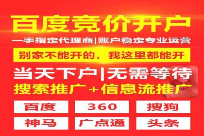 行业领先企业的sem账户竞价运营策略